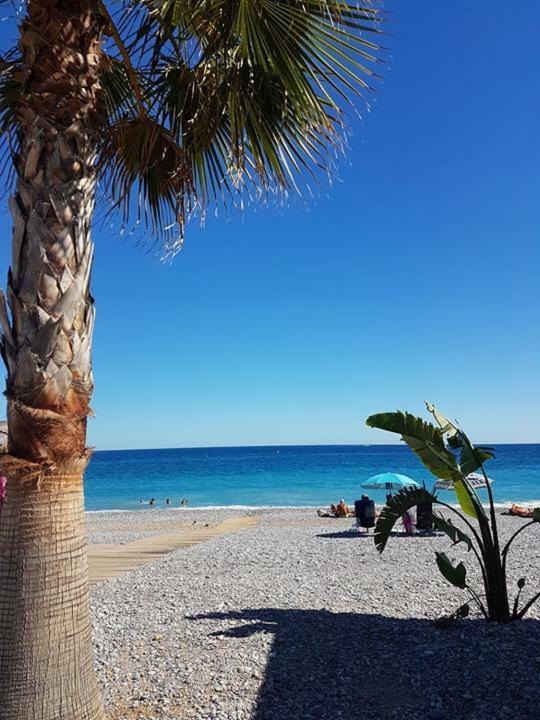 Appartement Fame - Marina Baie Des Anges Villeneuve-Loubet